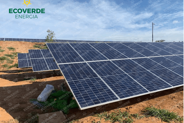 ecoverde1